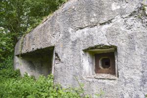 Ligne Maginot - B342 - MARAIS DE BERCU - (Blockhaus pour canon) - 