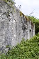 Ligne Maginot - B342 - MARAIS DE BERCU - (Blockhaus pour canon) - 