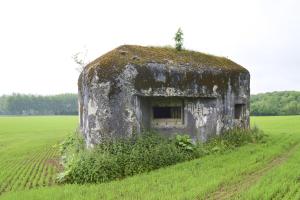 Ligne Maginot - B600 - BOIS DES ECOLIERS EST - (Blockhaus pour canon) - 