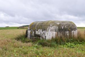 Ligne Maginot - BEF 353 - BAS DU CHEMIN DE CAMPHIN 1 - (Blockhaus pour arme infanterie) - 