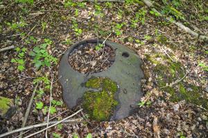 Ligne Maginot - T8 - BOIS DE LA TASSONNIERE EST (TD N° 358) - (Cuve pour arme d'infanterie) - 