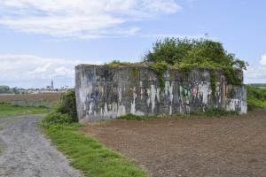 Ligne Maginot - BEF 294 - L'EPINE NORD OUEST - (Blockhaus pour canon) - 