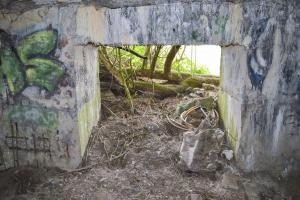 Ligne Maginot - BEF 294 - L'EPINE NORD OUEST - (Blockhaus pour canon) - L'entrée