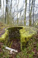 Ligne Maginot - TD16 BIS - ROUTE DE LES MAZURES - (Cuve pour arme d'infanterie) - Cuve en béton encore en bon état général