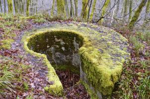 Ligne Maginot - TD16 BIS - ROUTE DE LES MAZURES - (Cuve pour arme d'infanterie) - Cuve en béton encore en bon état général