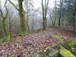 Ligne Maginot - FOND SAINTE ANNE - (Observatoire d'infanterie) - 