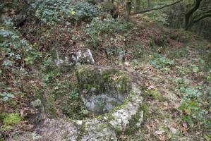 Ligne Maginot - Bb63-B - GRANDS DUCS Sud - L'emplacement de la tourelle après un bon débroussaillage. La tranchée d'accès existe encore