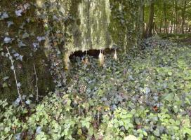 Ligne Maginot - BB69 - BOIS DE LA PIERRONNERIE NORD - (Blockhaus pour arme infanterie) - 