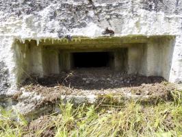 Ligne Maginot - BB72-C - LA COUPE DE LA PRE - (Blockhaus pour canon) - Créneau FM/Obs