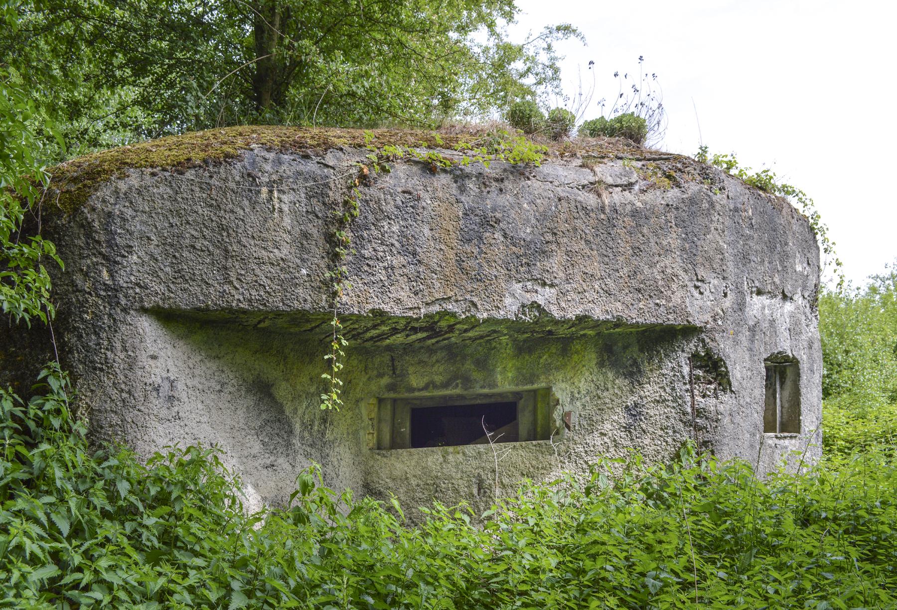 Ligne Maginot - B342 - MARAIS DE BERCU - (Blockhaus pour canon) - 