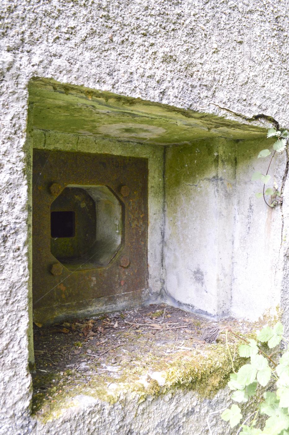 Ligne Maginot - B342 - MARAIS DE BERCU - (Blockhaus pour canon) - 