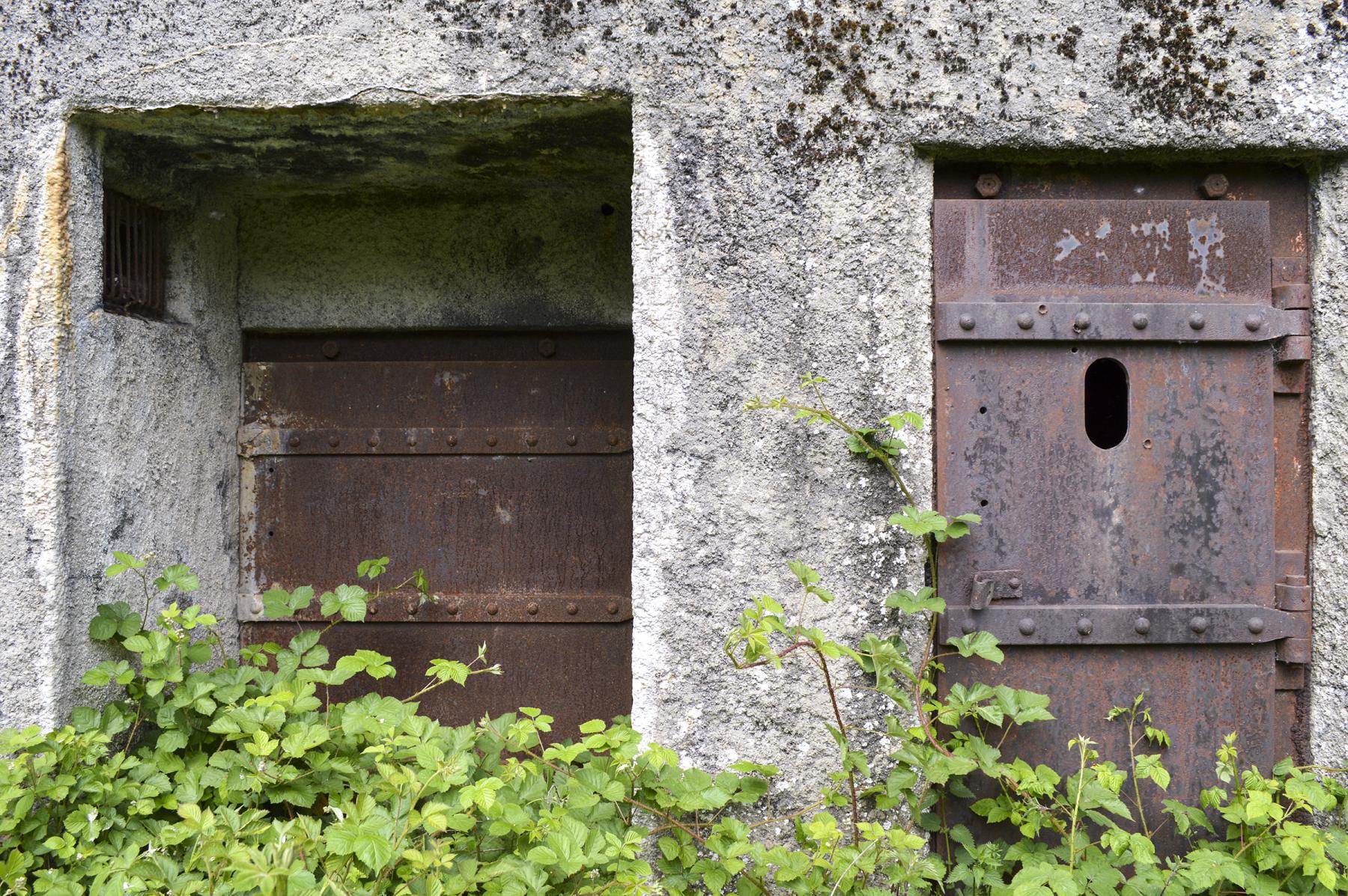 Ligne Maginot - B342 - MARAIS DE BERCU - (Blockhaus pour canon) - 