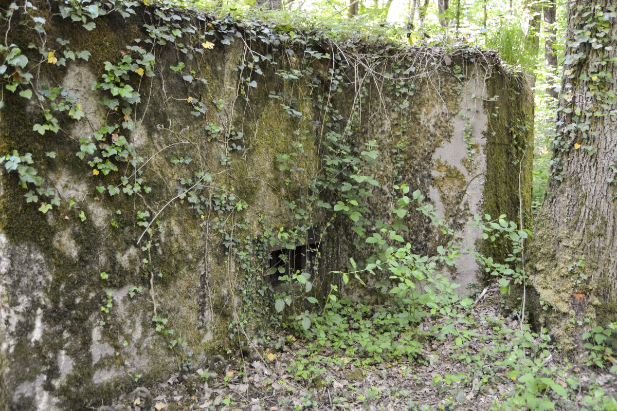 Ligne Maginot - CB277 - IDLINGEN - (Blockhaus pour arme infanterie) - Créneau de tir de la mitrailleuse et oreillon de protection latérale.