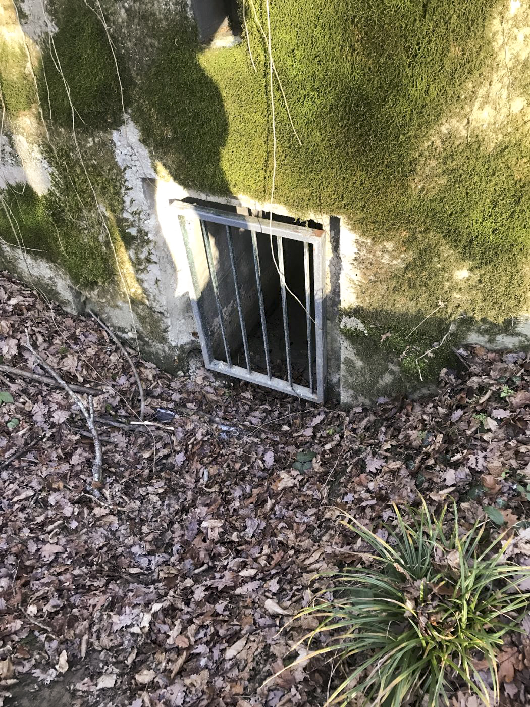 Ligne Maginot - CB277 - IDLINGEN - (Blockhaus pour arme infanterie) - Porte fermée récemment  par une grille.