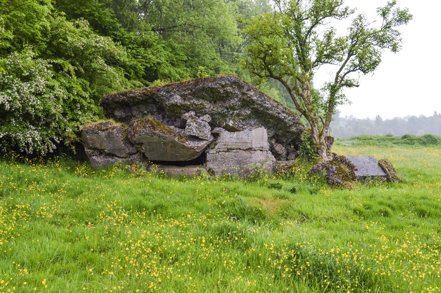 Ligne Maginot - B598 - CORON D'AMOUR - (Blockhaus pour canon) - 