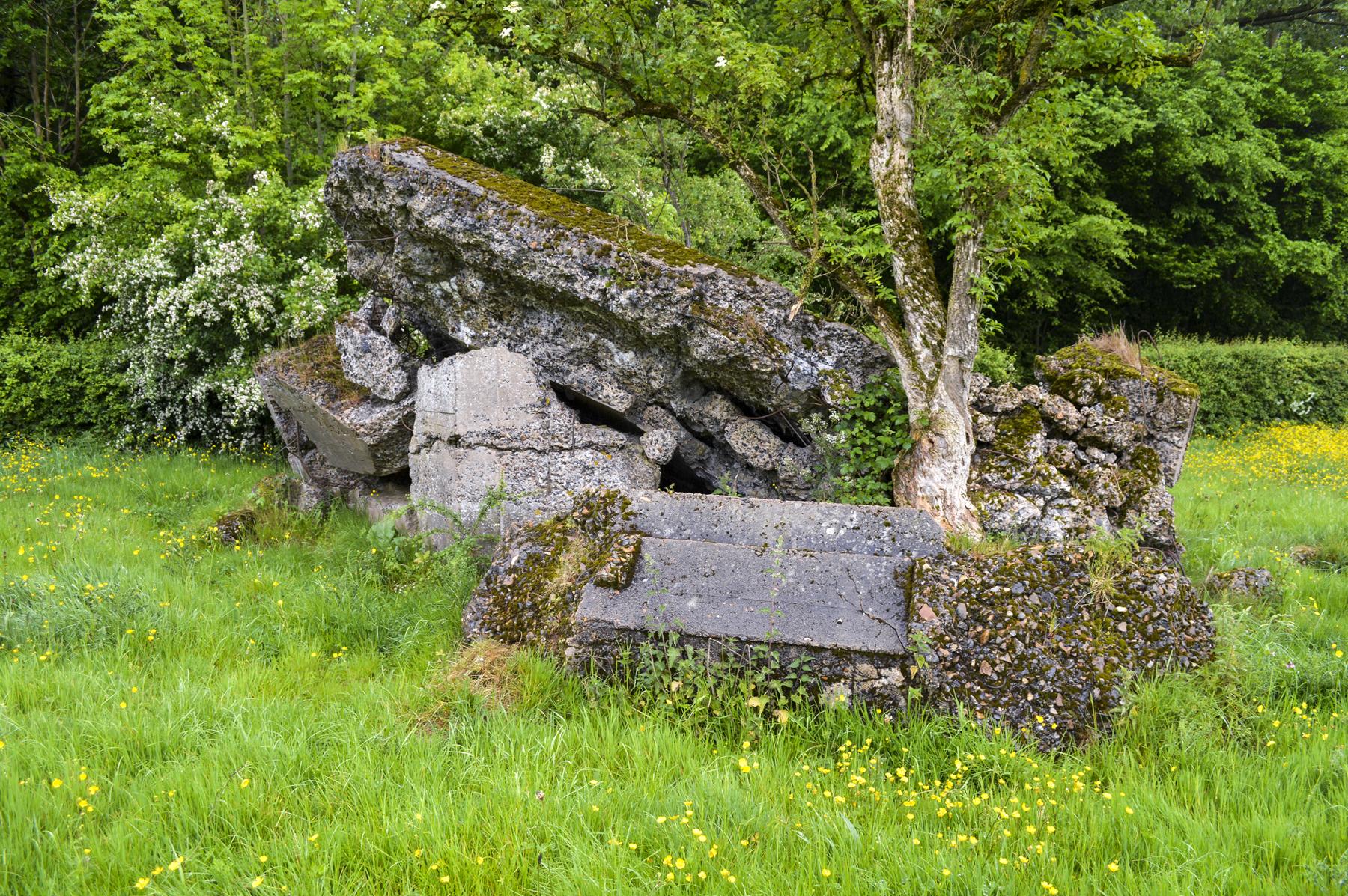 Ligne Maginot - B598 - CORON D'AMOUR - (Blockhaus pour canon) - 