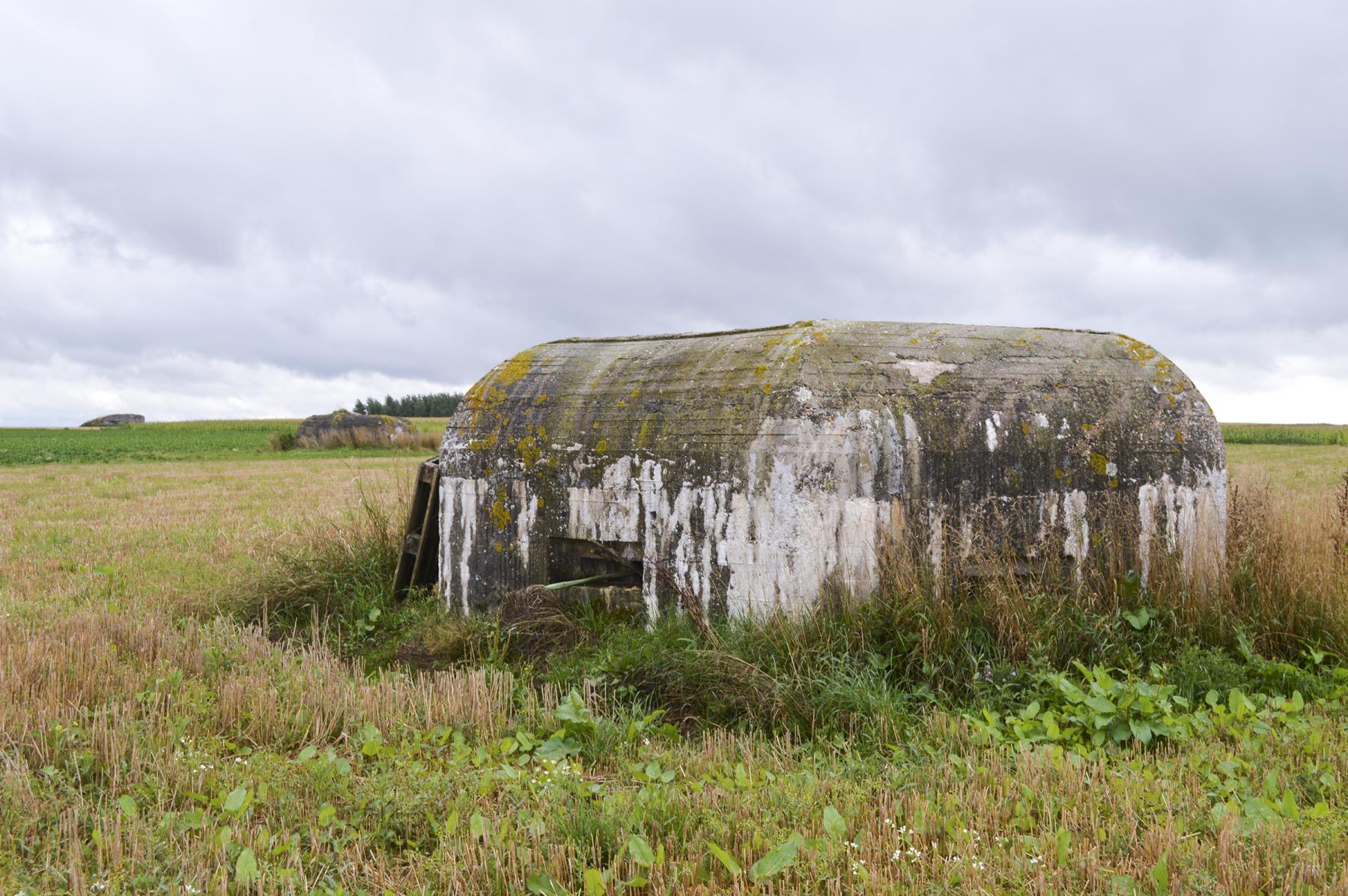 Ligne Maginot - BEF 353 - BAS DU CHEMIN DE CAMPHIN 1 - (Blockhaus pour arme infanterie) - 