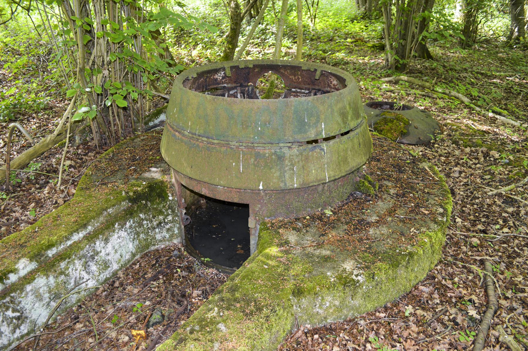 Ligne Maginot - T8 - BOIS DE LA TASSONNIERE EST (TD N° 358) - (Cuve pour arme d'infanterie) - 