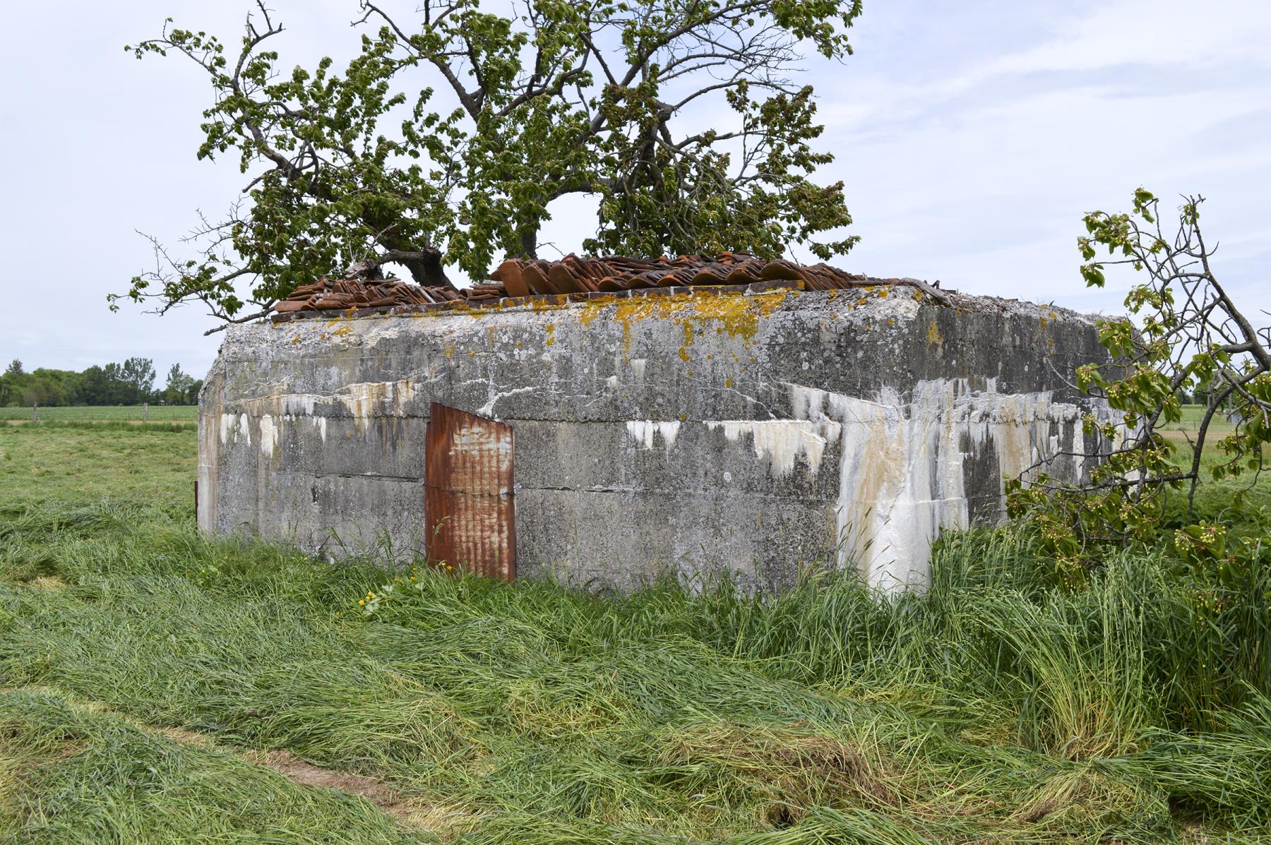 Ligne Maginot - BEF 324 - TILLEUL APOUX - (Blockhaus pour arme infanterie) - 