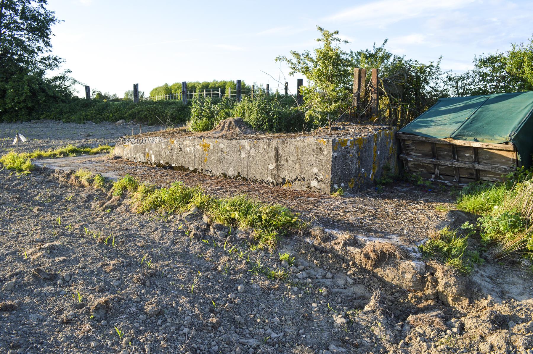 Ligne Maginot - BEF 389 - LA POSTERIE SUD EST - (Blockhaus pour canon) - 