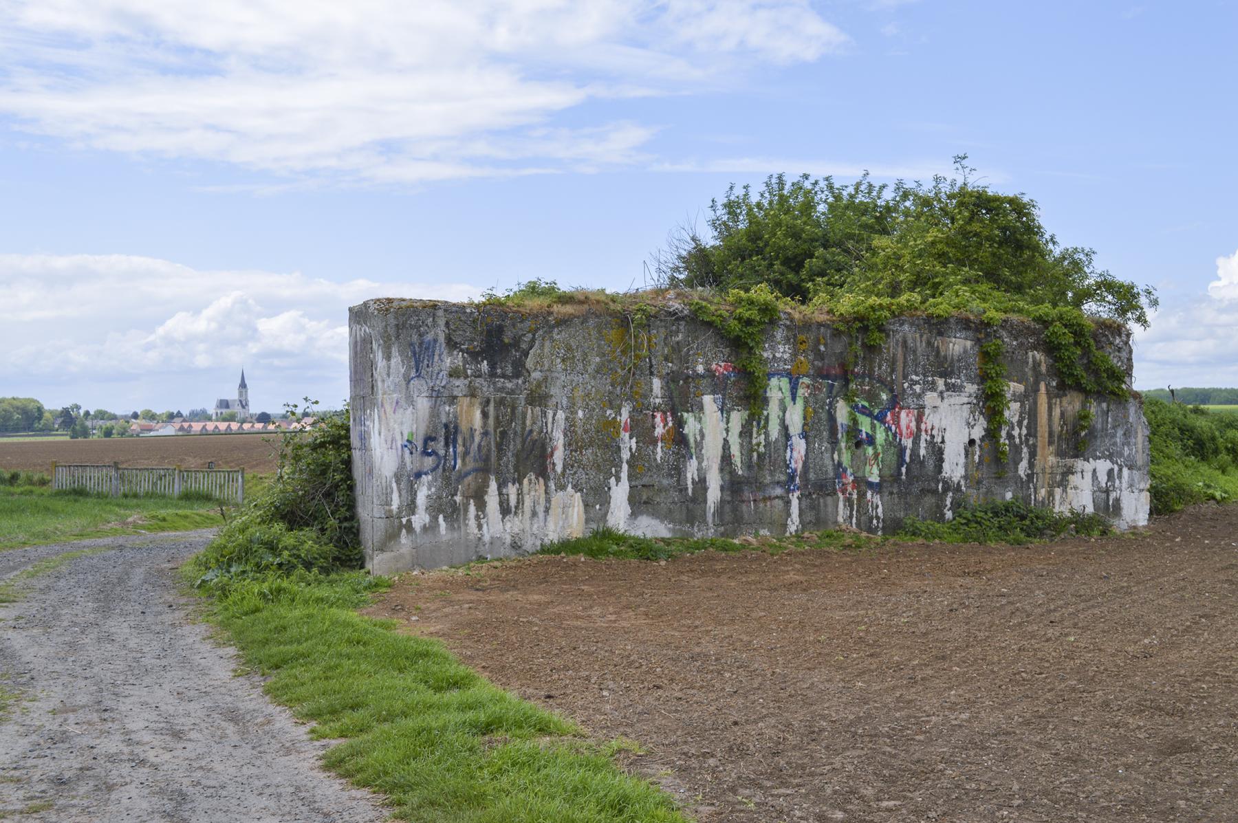 Ligne Maginot - BEF 294 - L'EPINE NORD OUEST - (Blockhaus pour canon) - 