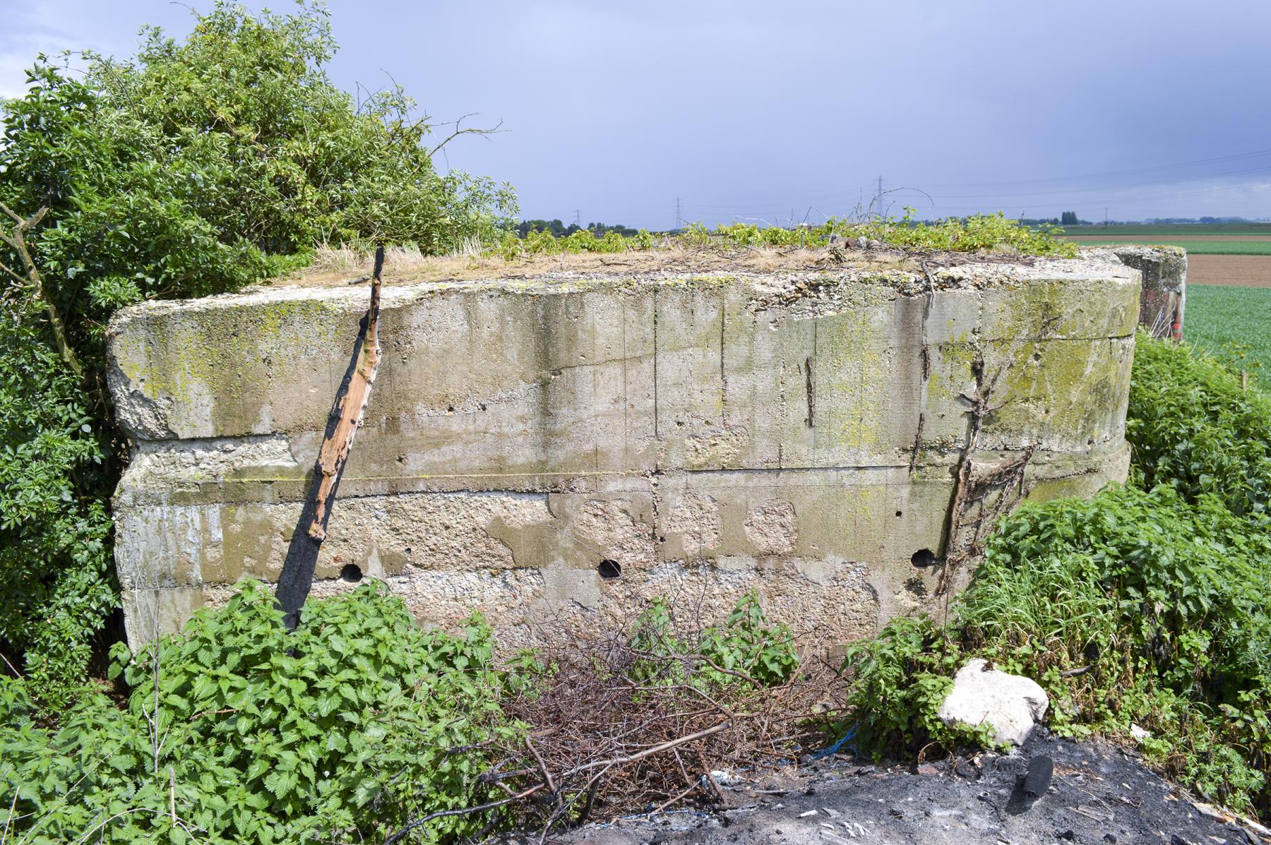 Ligne Maginot - BEF 294 - L'EPINE NORD OUEST - (Blockhaus pour canon) - 