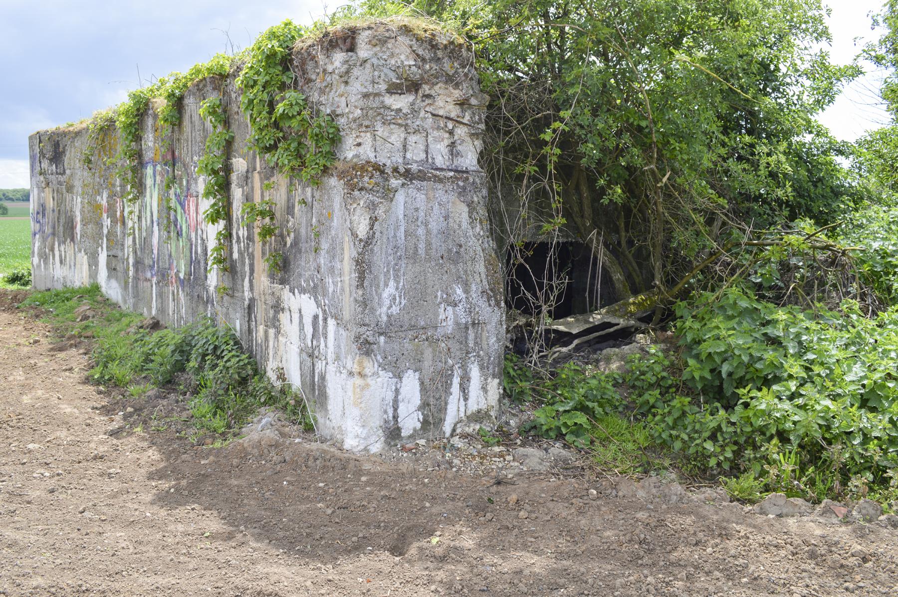 Ligne Maginot - BEF 294 - L'EPINE NORD OUEST - (Blockhaus pour canon) - L'entrée