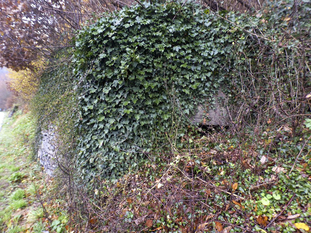 Ligne Maginot - Blockhaus Bb30-A - BELLE FLEUR - 