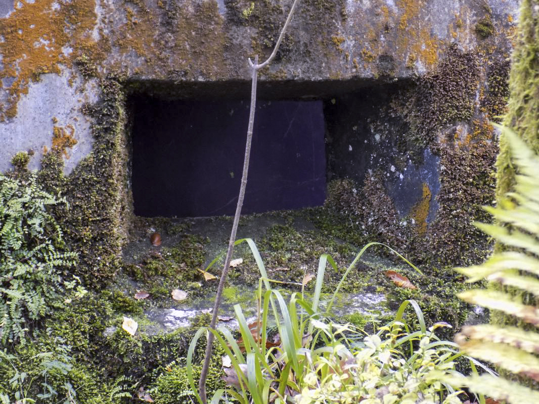 Ligne Maginot - Blockhaus Bb39-C - La PILLE - Face frontale, créneau gauche