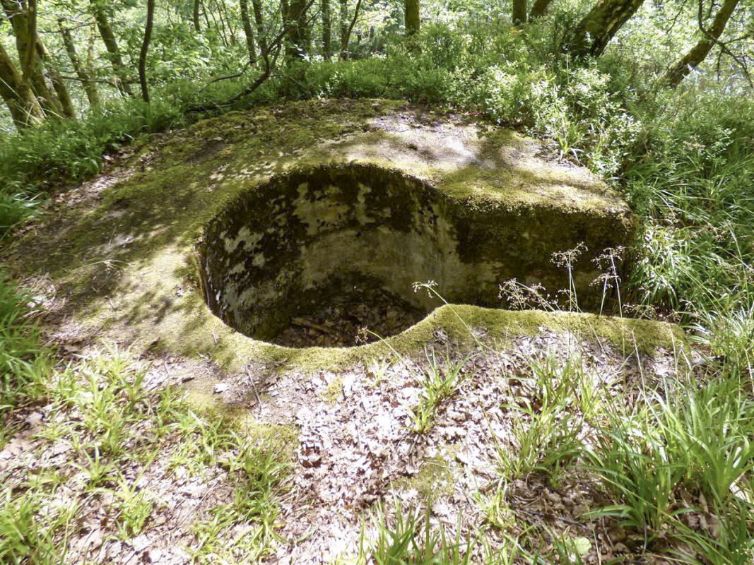 Ligne Maginot - TD16 BIS - ROUTE DE LES MAZURES - (Cuve pour arme d'infanterie) - 