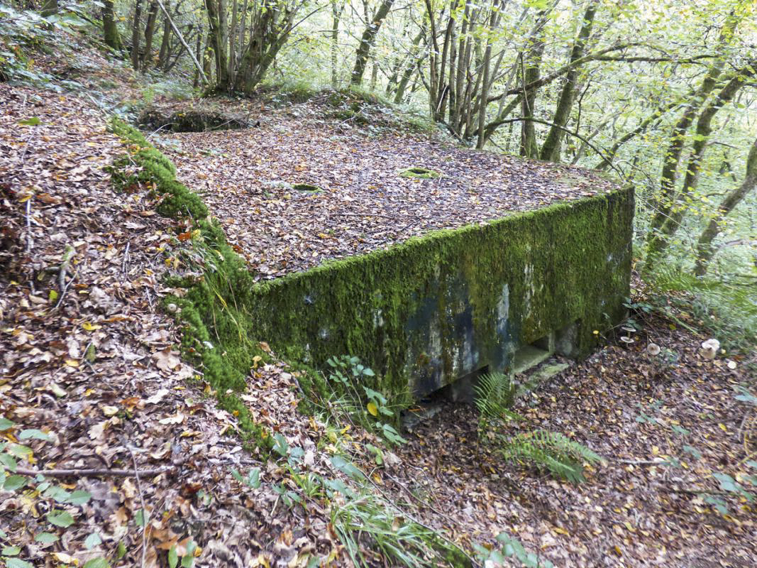 Ligne Maginot - BB10-A - CIMETIERE DE BOGNY - (Blockhaus de type indéterminé) - 