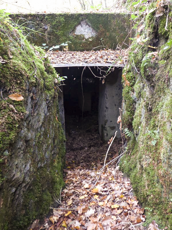 Ligne Maginot - BB10-A - CIMETIERE DE BOGNY - (Blockhaus de type indéterminé) - L'écusson à été enlevé. Voir dessus l'entrée