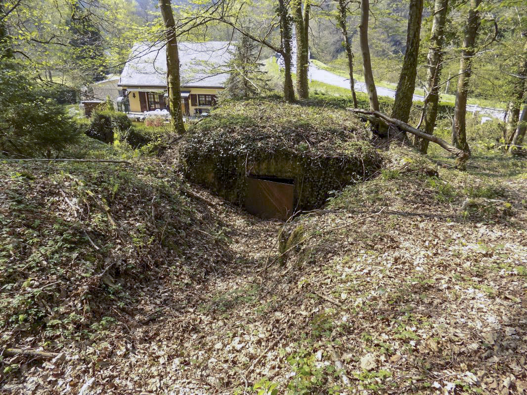 Ligne Maginot - BB49 - LES DAMES DE MEUSE - (Blockhaus pour canon) - L'arrière