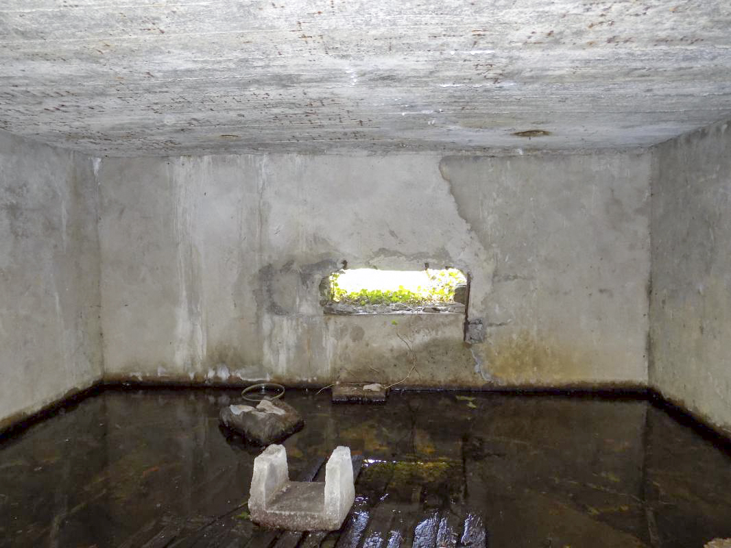 Ligne Maginot - BB49 - LES DAMES DE MEUSE - (Blockhaus pour canon) - Face frontale, créneau AC