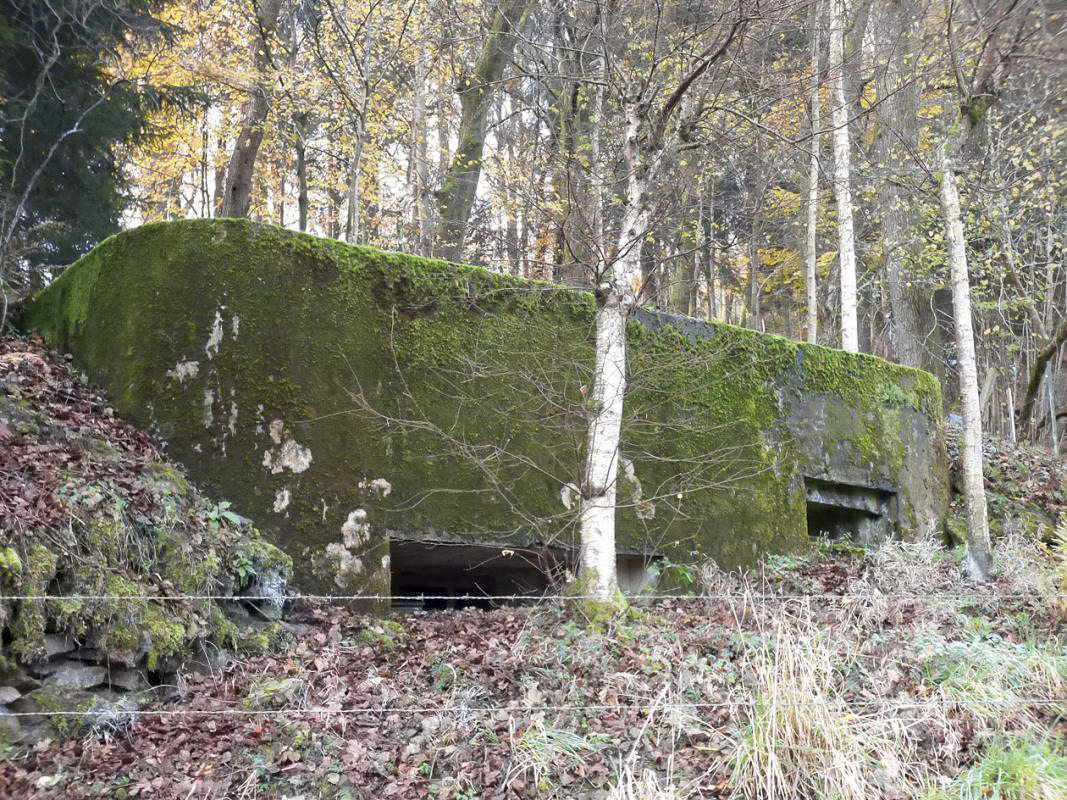 Ligne Maginot - BB58 - SOLTYS SUD - (Blockhaus pour canon) - 