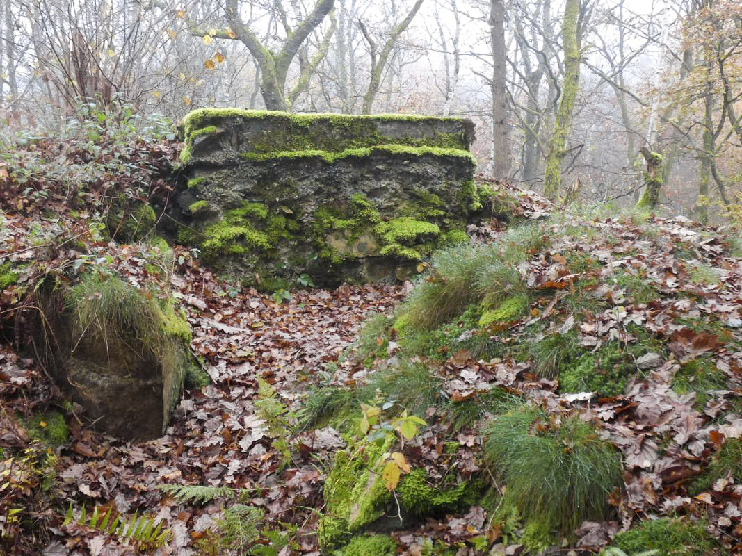 Ligne Maginot - FOND SAINTE ANNE - (Observatoire d'infanterie) - 