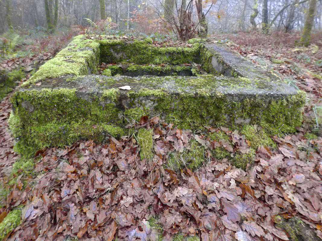 Ligne Maginot - FOND SAINTE ANNE - (Observatoire d'infanterie) - 