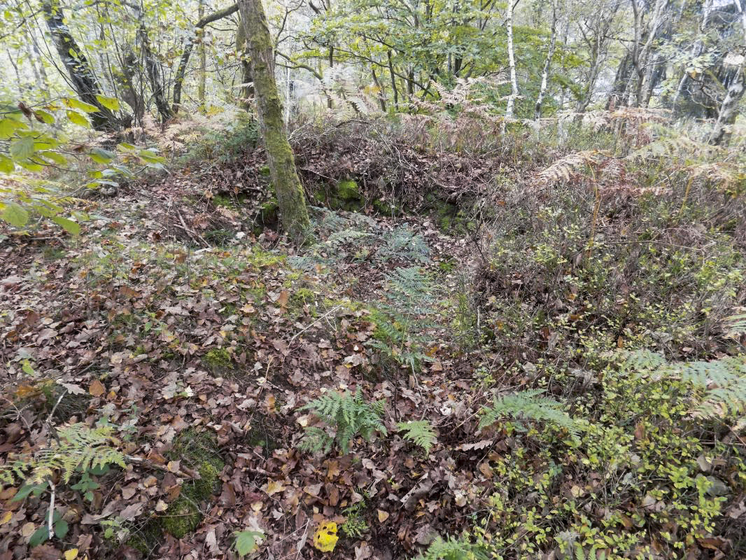 Ligne Maginot - FOND SAINTE ANNE - (Observatoire d'infanterie) - Position infanterie à 15m au nord d'observatoire