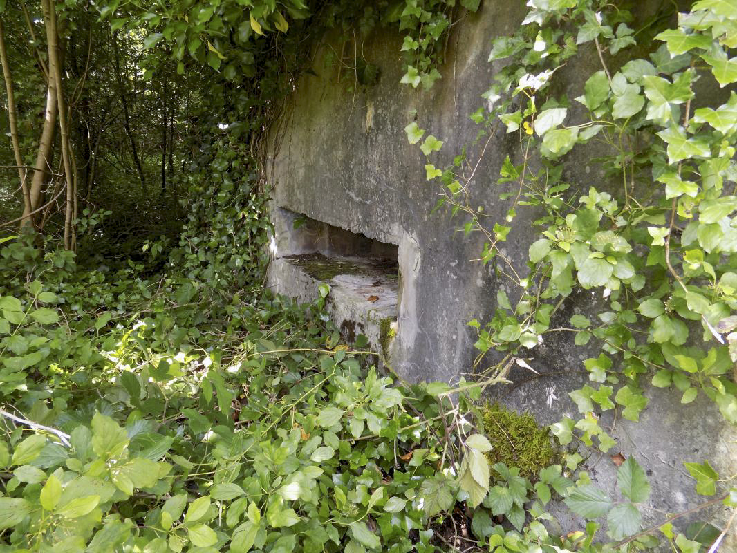 Ligne Maginot - BB59 - LES VANNELLES - (Blockhaus pour canon) - Face frontale