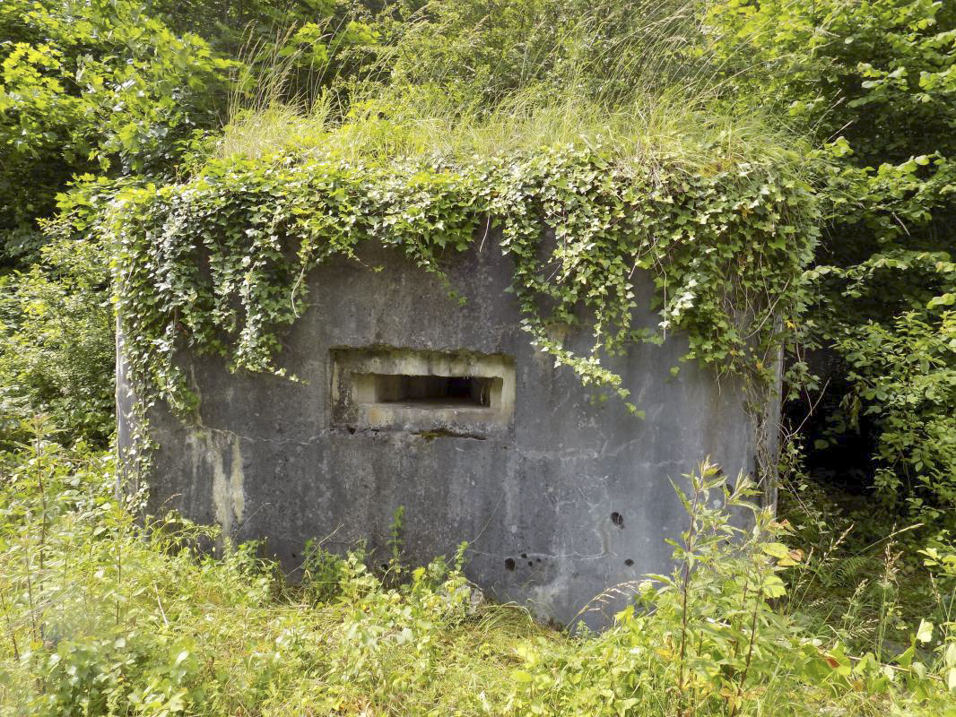 Ligne Maginot - BB59 - LES VANNELLES - (Blockhaus pour canon) - Face gauche