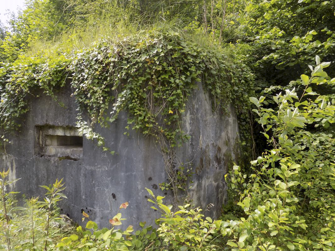 Ligne Maginot - BB59 - LES VANNELLES - (Blockhaus pour canon) - Faces gauche et l'arrière