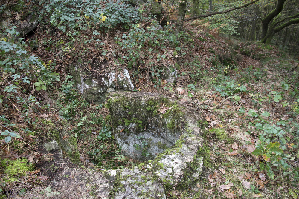 Ligne Maginot - Bb63-B - GRANDS DUCS Sud - L'emplacement de la tourelle après un bon débroussaillage. La tranchée d'accès existe encore