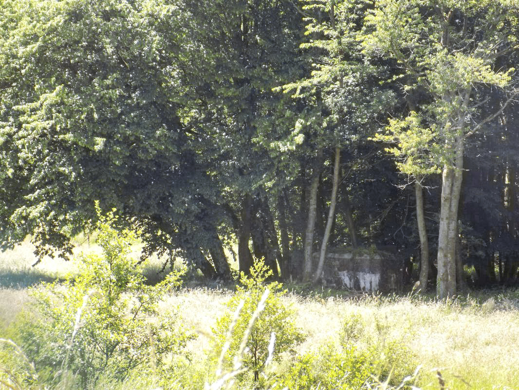 Ligne Maginot - BB69 - BOIS DE LA PIERRONNERIE NORD - (Blockhaus pour arme infanterie) - 