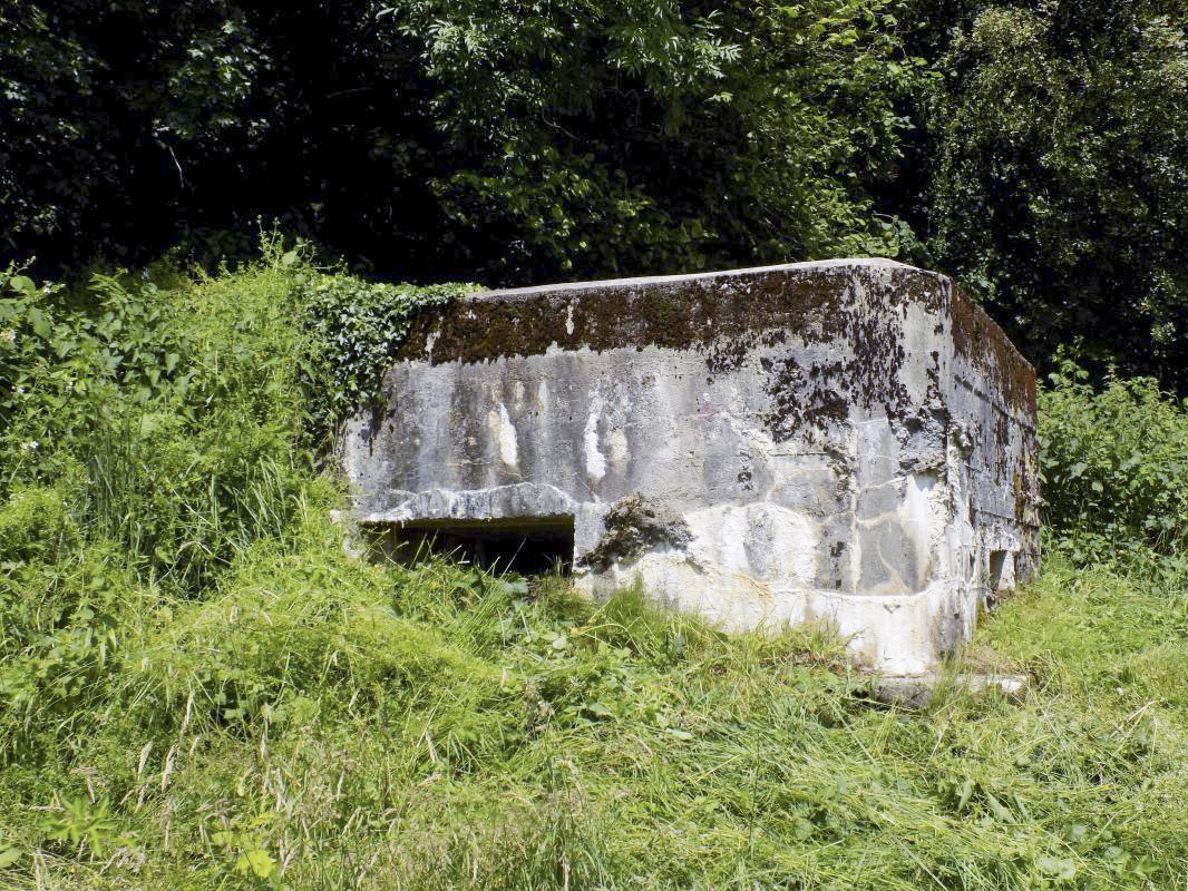 Ligne Maginot - BB72-C - LA COUPE DE LA PRE - (Blockhaus pour canon) - Face sud, créneau AC. 
Le créneau Hotchkiss est enterré