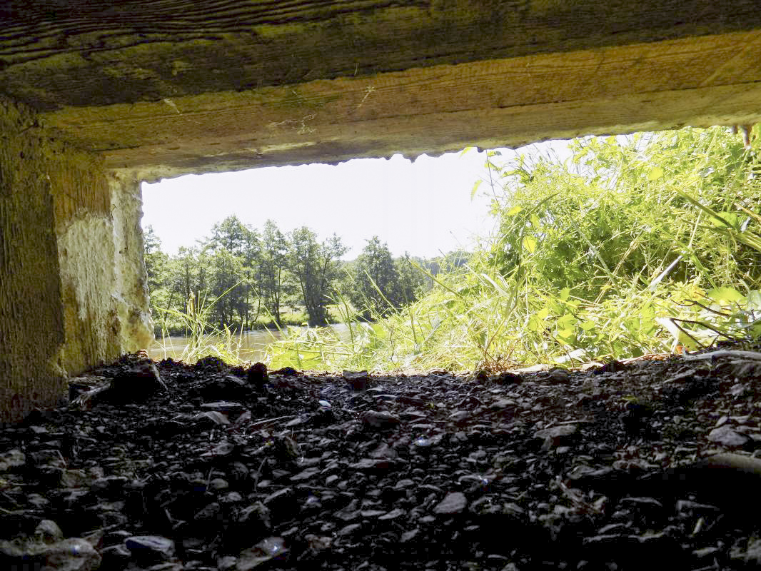 Ligne Maginot - BB72-C - LA COUPE DE LA PRE - (Blockhaus pour canon) - Vue du créneau AC vers le sud