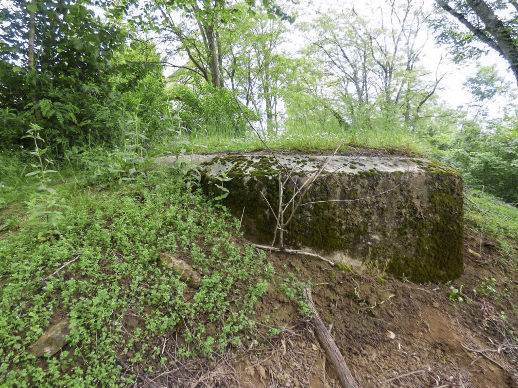 Ligne Maginot - BB73-B - MOULIN GODARD EST - (Blockhaus pour canon) - 