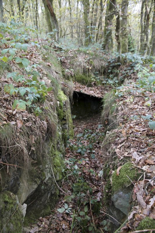 Ligne Maginot - TD20BIS - (Cuve pour arme d'infanterie) - Le réseau mène à un très petit abri 