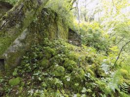 Ligne Maginot - 27A - RIMONNEAU EST - (Blockhaus pour canon) - L'angle, les faces frontales