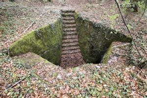 Ligne Maginot - STEINBESCH NORD - (Central téléphonique d'observation) - 