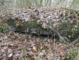 Ligne Maginot - BOIS DE KLANG NORD 2 - (Observatoire d'infanterie) - Le créneau d'observation vers le nord.